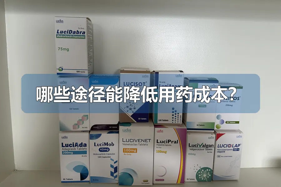 哪些途径能降低用药成本?