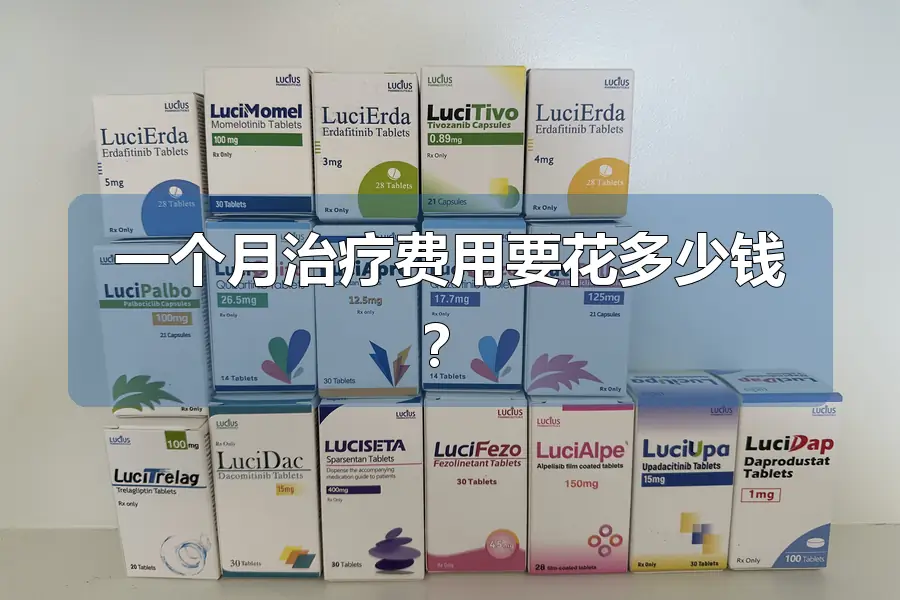 一个月治疗费用要花多少钱?